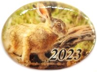 Панно магнит из селенита, с символом года 2023 "Кролик №6"