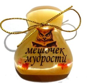 Магнит из селенита(фотопечать) мешочек мудрости 